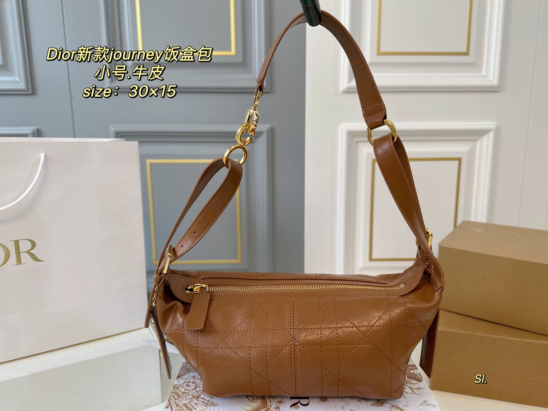 DIOR bag 169